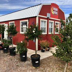 Moon Valley Nurseries