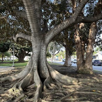 Media Park - Parks Near Me - Culver City, California Media Park - Parks Near Me - Culver City, California