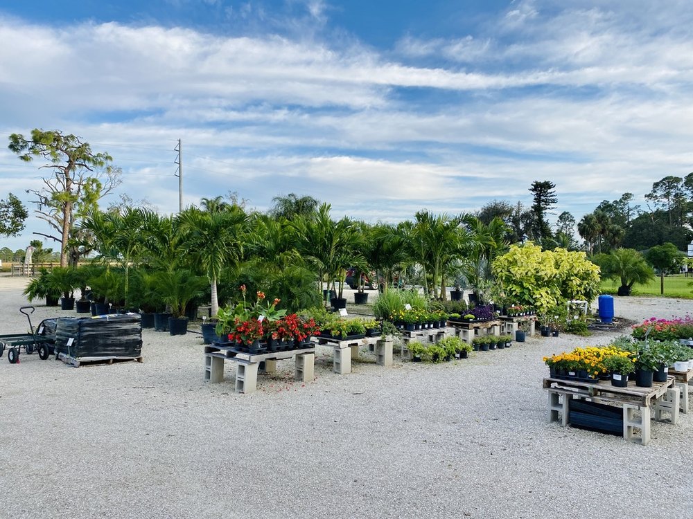 OWL CREEK LANDSCAPE NURSERY Updated October 2024 26 Photos 19381