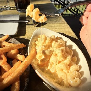 Beehive Augusta Tavern - Mac n Cheese - American Near Me - Augusta, Kentucky Beehive Augusta Tavern - Mac n Cheese - American Near Me - Augusta, Kentucky