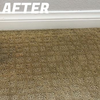 Spot Dye Wizard - The Spot Dye Wizard went in and poof! The in-Your-face orange vanished. - Carpet Dyeing Near Me Spot Dye Wizard - The Spot Dye Wizard went in and poof! The in-Your-face orange vanished. - Carpet Dyeing Near Me