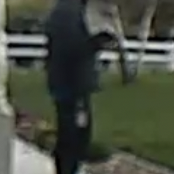 Sunrun Solar - this guy is soliciting in an HOA that says no soliciting. He is saying he has a valid license and he doesn't. - Solar Installation Near Me - San Luis Obispo, California Sunrun Solar - this guy is soliciting in an HOA that says no soliciting. He is saying he has a valid license and he doesn't. - Solar Installation Near Me - San Luis Obispo, California
