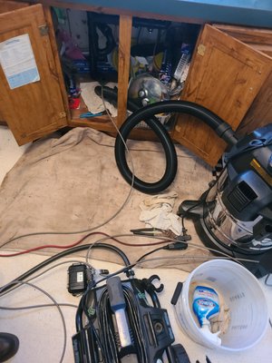 Sewer Shark Logo
