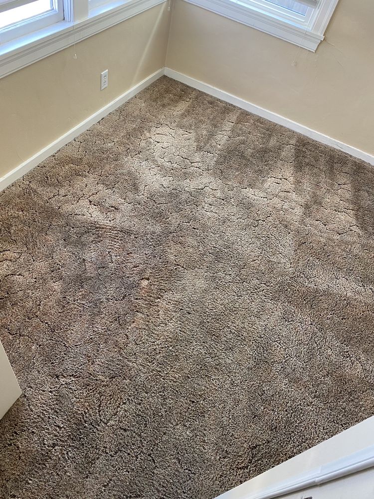 GRAHAM CARPET CARE Updated July 2024 46 Reviews 4009 Lloyd Dr