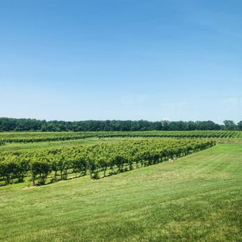 Sharrott Winery - Vineyard - Wineries Near Me - Hammonton, New Jersey Sharrott Winery - Vineyard - Wineries Near Me - Hammonton, New Jersey