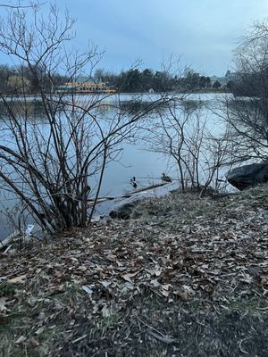 Delaware Park by null