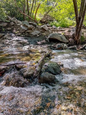 North Etiwanda Preserve by null