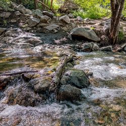 North Etiwanda Preserve