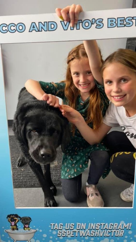 SELF SERVE PET WASH Updated June 2024 Request Information 20