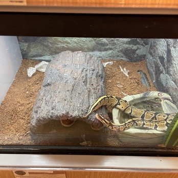 Petco - Pet Stores Near Me - Washington, DC, District of Columbia
