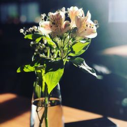 elbe - Blumen