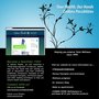 Photo of Seleme Chiropractic Wellness Center