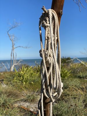 Sandspur Beach by null