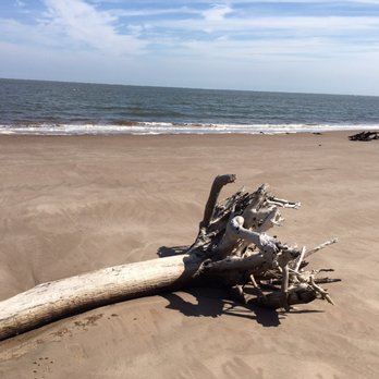 Big Talbot Island State Park - Parks Near Me - Jacksonville, Florida Big Talbot Island State Park - Parks Near Me - Jacksonville, Florida