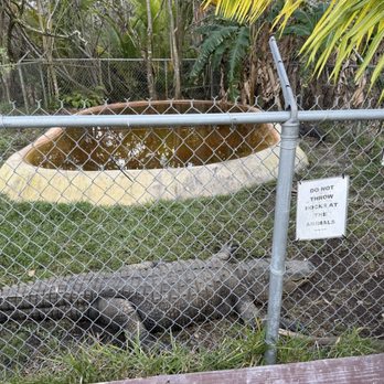 Coopertown Airboats - Boat Tours Near Me - Miami, Florida Coopertown Airboats - Boat Tours Near Me - Miami, Florida