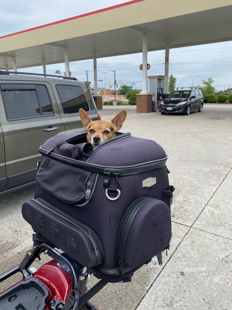 GREER AUTO SALES Updated September 2024 Thayer Ofc State Rd 55