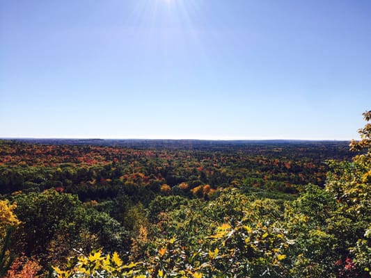 Bradbury Mountain State Park by null