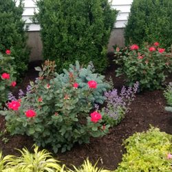Timeless Gardens NY