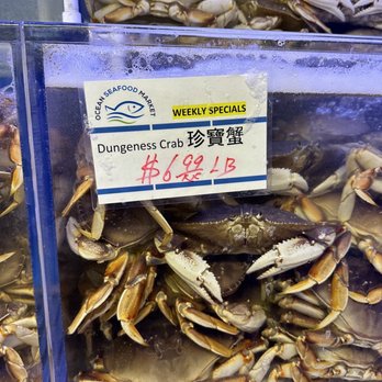 Ocean Seafood Market - Seafood Markets Near Me - San Francisco, California Ocean Seafood Market - Seafood Markets Near Me - San Francisco, California