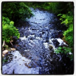 Lime Kiln Park