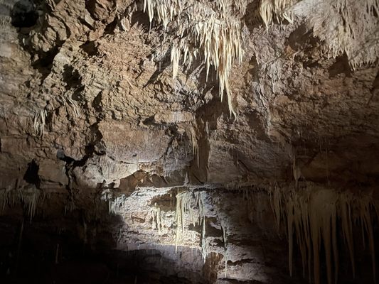Natural Bridge Caverns by null