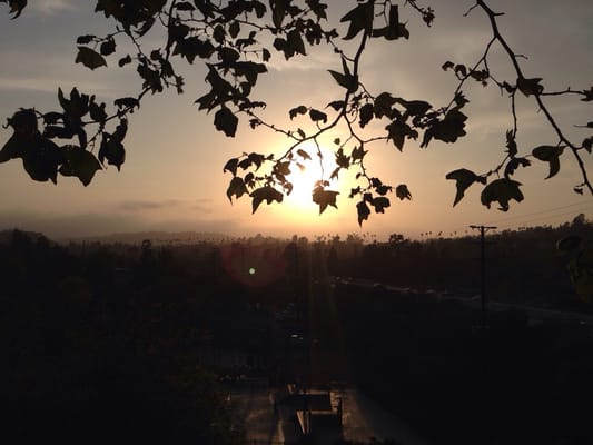 Arroyo Park by null