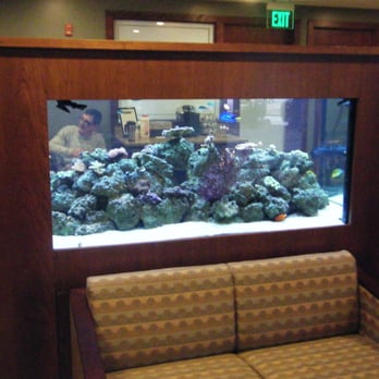 MSL Surgery - Nice fish fank - Oral Surgeons Near Me - Warwick, Rhode Island MSL Surgery - Nice fish fank - Oral Surgeons Near Me - Warwick, Rhode Island