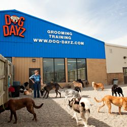 DogDayz