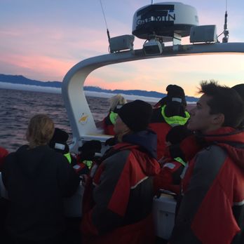 Eagle Wing Tours - Boat Charters Near Me - Victoria, British Columbia