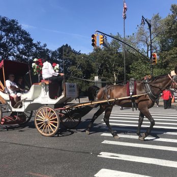 Central Park Conservancy - Parks Near Me - New York, New York Central Park Conservancy - Parks Near Me - New York, New York