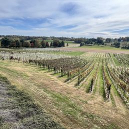 Vineyard view from deck Vineyard view from deck