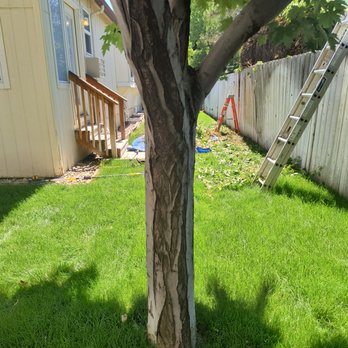Rotor Blades Lawn Care - Lawn Services Near Me - Middleton, Idaho Rotor Blades Lawn Care - Lawn Services Near Me - Middleton, Idaho