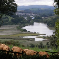 Sharpham House - The bucolic view towards Totnes