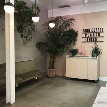 Coffee and Plants - Interior. - Coffee & Tea Near Me - Pasadena, California Coffee and Plants - Interior. - Coffee & Tea Near Me - Pasadena, California
