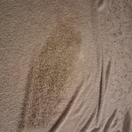Dirty rag when she left..after I told Alan wall wasn't cleaned..