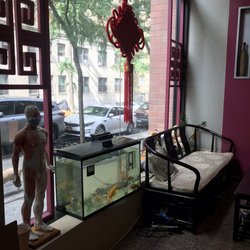 Qi Li Acupuncture