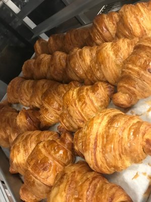 Pascal on Beverly by null