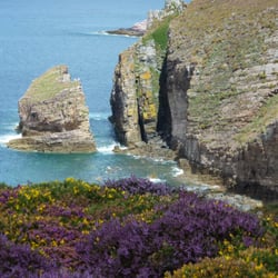 Cap Fréhel