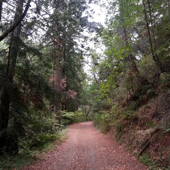 Leo T. Cronin Fish Viewing Area - Parks Near Me - Lagunitas-Forest Knolls, California