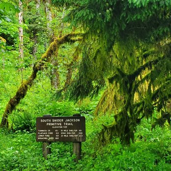 Olympic National Park - Parks Near Me - Port Angeles, Washington