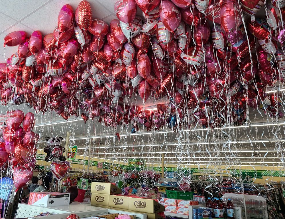 DOLLAR TREE Updated July 2024 5835 E Ruben M Torres Sr Blvd, Brownsville, Texas Discount