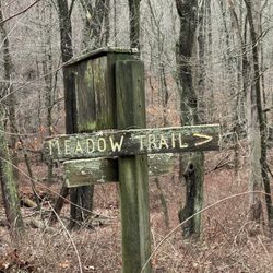 Marian Yarrow Preserve