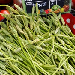 Marché Couvert - Découverte du jour