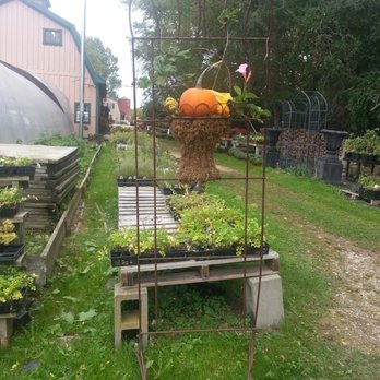 Frerichs Farm - Nurseries & Gardening Near Me - Warren, Rhode Island
