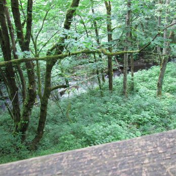 Bridal Veil Falls - Hiking Near Me - Corbett, Oregon