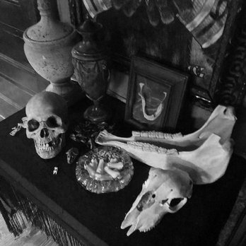The Gentleman Psychic - Skulls - Psychic Mediums Near Me The Gentleman Psychic - Skulls - Psychic Mediums Near Me