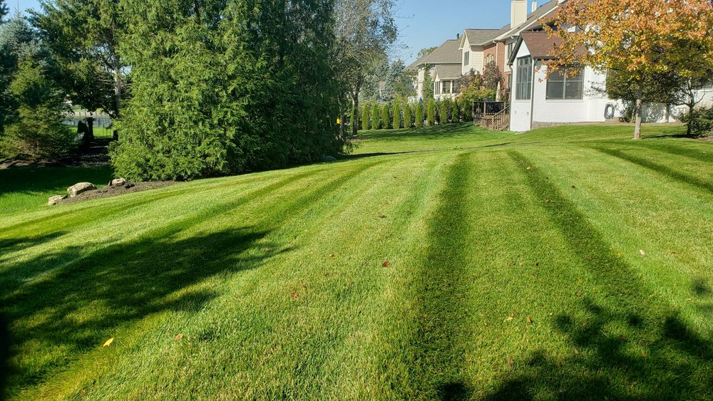 Affordable Mowing Solutions - tree service in Indianapolis, IN