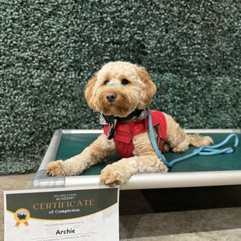 Inclined Canine Academy - Pet Training Near Me - Morgan Hill, California Inclined Canine Academy - Pet Training Near Me - Morgan Hill, California