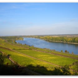 Weingut & Gästehaus Schwibinger - Der Rhein kurz vor der Mündung in den Main !!!