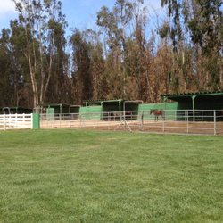 Triple "D" Ranch - Outdoor Corrals
